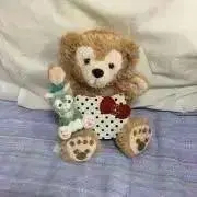 アーペルの画像