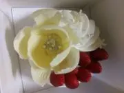 白茶ねこの画像