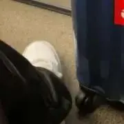 dの画像