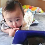 れんか
