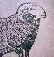 てんの画像