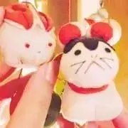 いふじの画像