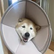 恐の画像