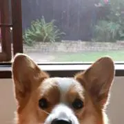 ちな★断捨離中★