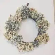 ベイピーの画像