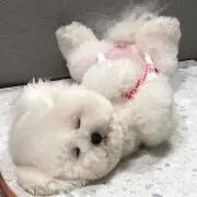 Ayuminの画像