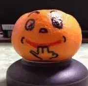 ♪みかんの画像