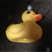 いず☆の画像