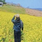 はっさくの画像