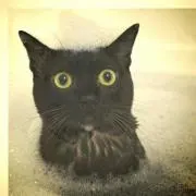 マイケル