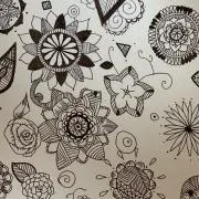 ぽんすけの画像