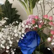 wakoの画像
