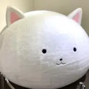 リオミツネの画像
