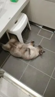 遥