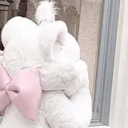 Aの画像