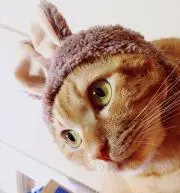 hima