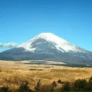 KMLV  ※プロフィール必読※の画像