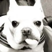 DESSE★JENNYの画像