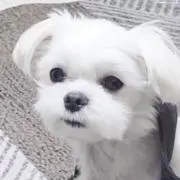 Image of mi_プロフ必読✧