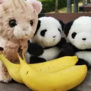 さんじ プロフィール一読後、ご購入下さ