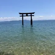 NOK66の画像