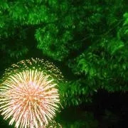 もこショップの画像