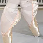 ラッコの画像