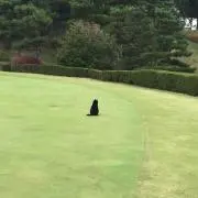 上がってナンボ