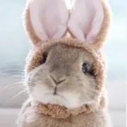 aikoの画像
