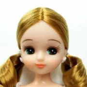 SA-runの画像