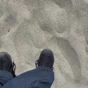 Yの画像