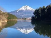 ツキの画像