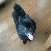 たろ