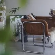 Yuz / 引越し断捨離中