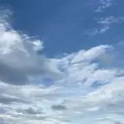 カマキリの画像