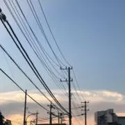 りんごの画像