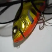 貧困トラウト