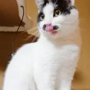 kymの画像