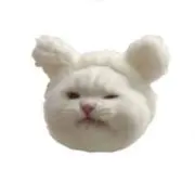 MISSOの画像