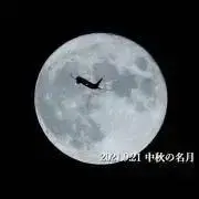 ちい☆