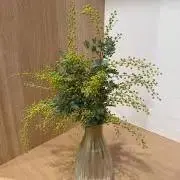 M*希望額の登録大歓迎ですの画像