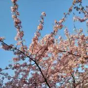 みっちーの画像
