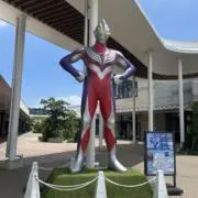 きのこ