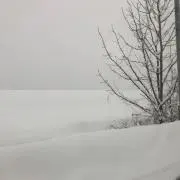 snowの画像