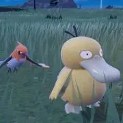 Pipiの画像