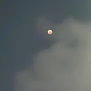 らーん