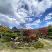 てんの画像