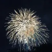うさぎ