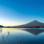 智の画像
