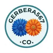 Gerbera567 .CO.の画像